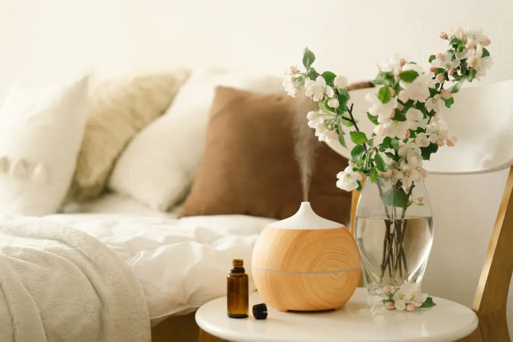 Aromatherapy Diffuser|Oil Diffuser