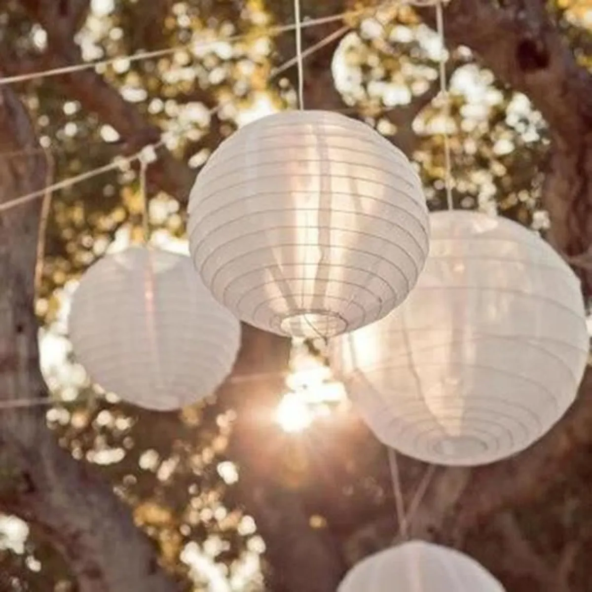 low voltage landscape lighting