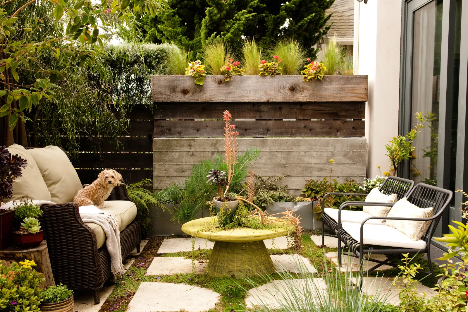 small backyard remodel| tiny backyard