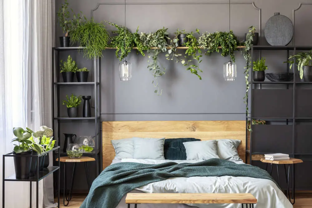 greenery room aesthetic

