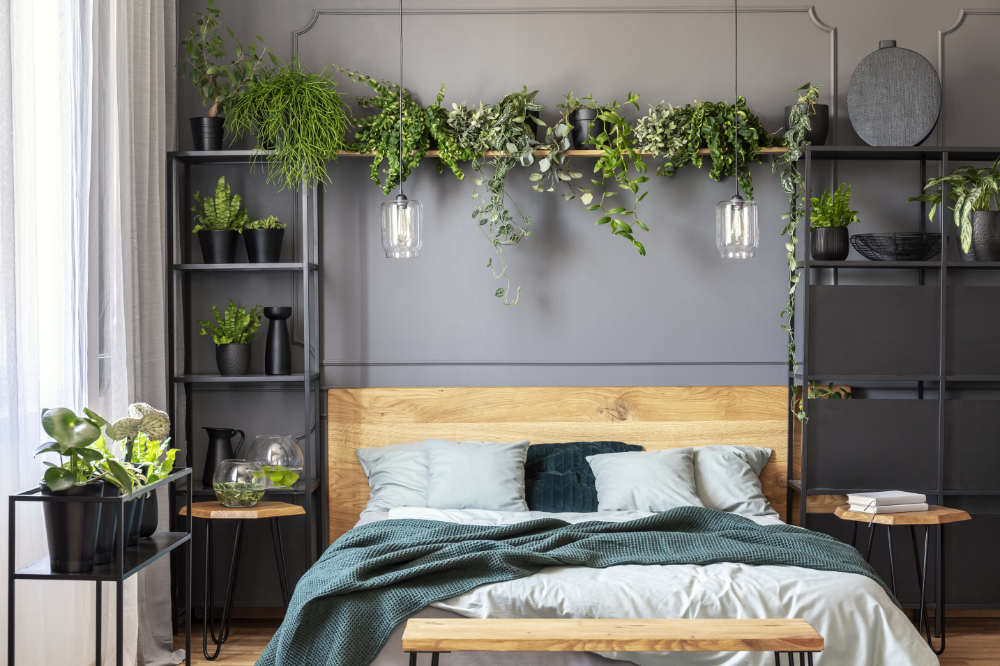 greenery room aesthetic

