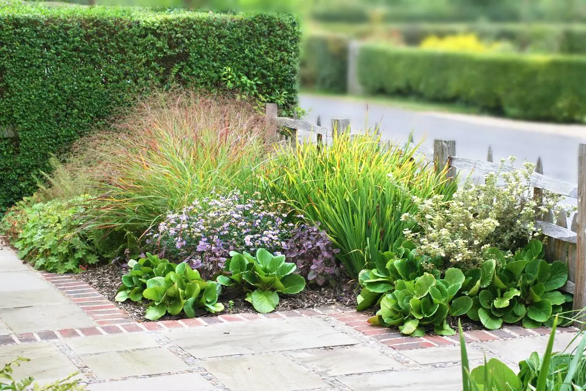 front yard landscaping ideas low maintenance