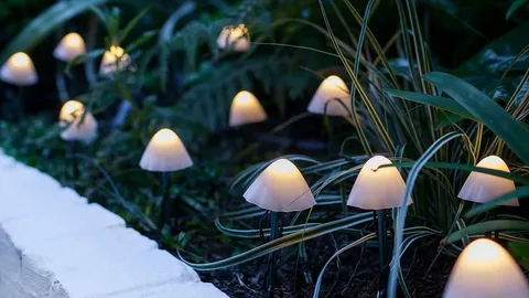 outdoor string lights
