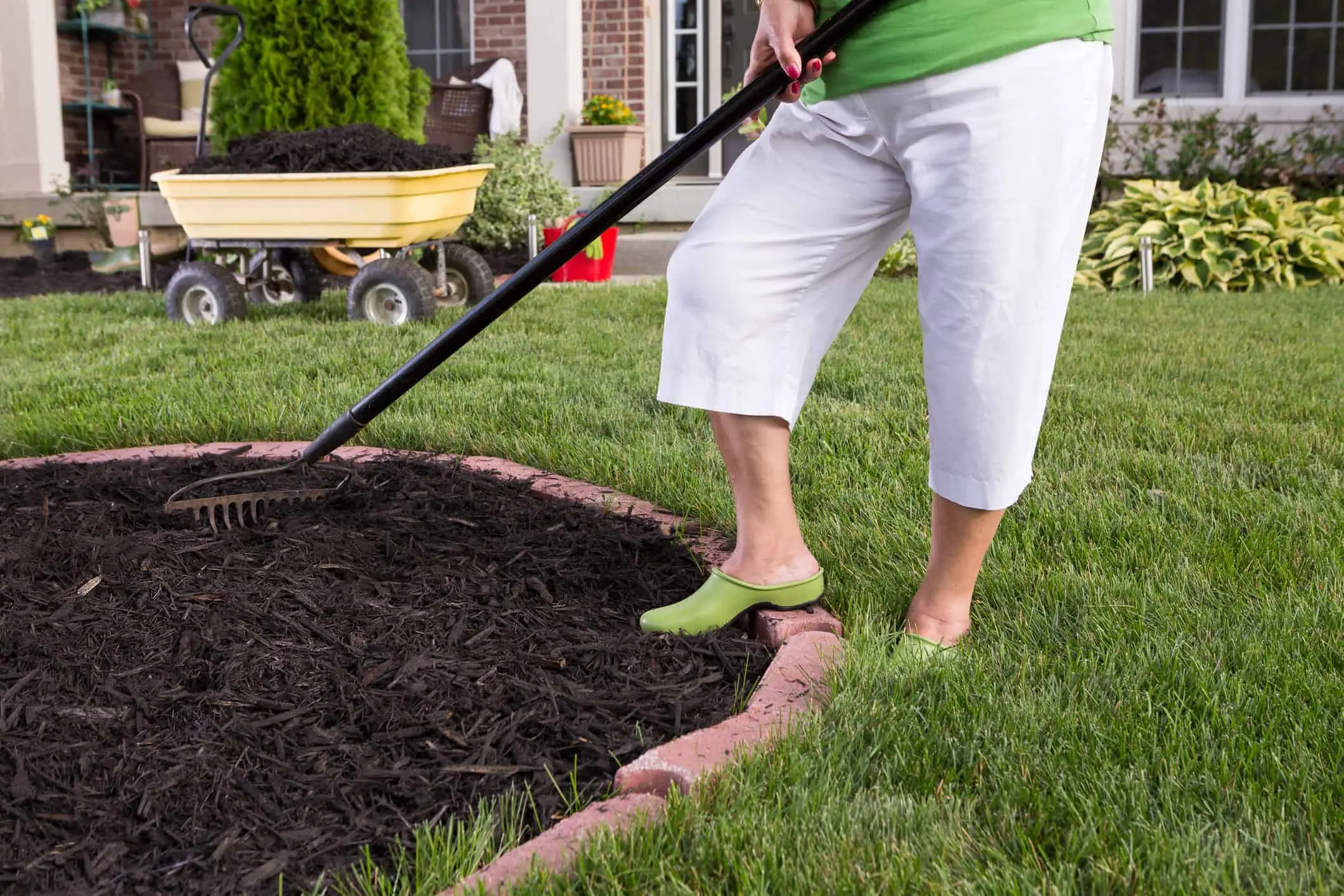 Designing a Stunning low maintenance landscape: Ideas You Will Love 10 maintenance free landscaping