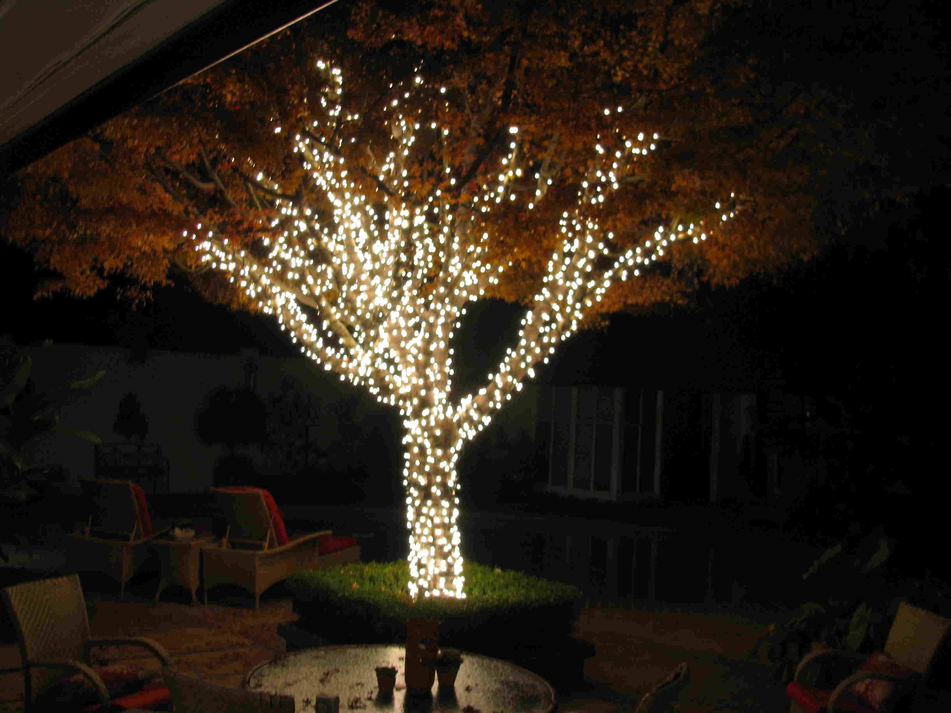 string lights