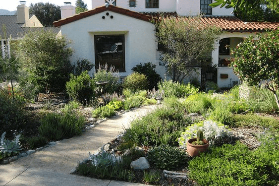 no maintenance landscaping