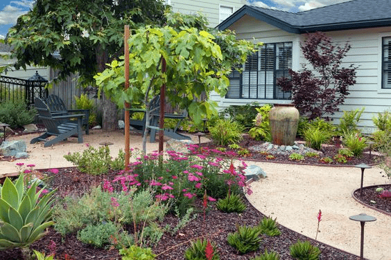 low maintenance backyard