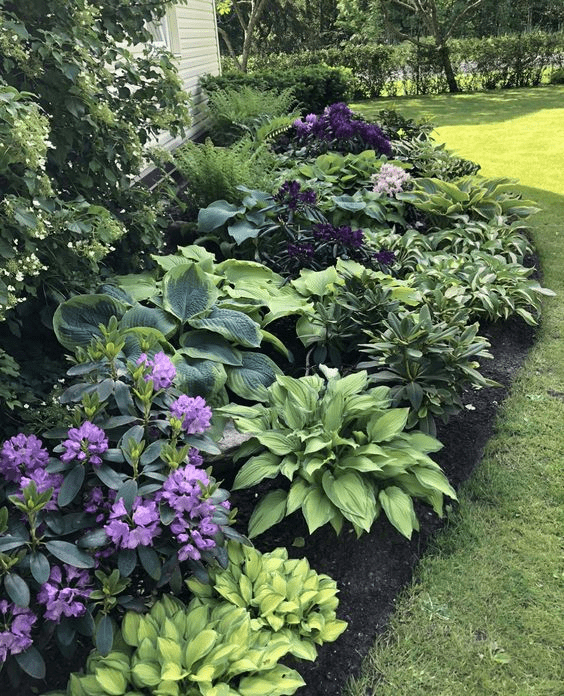 low maintenance hillside landscaping