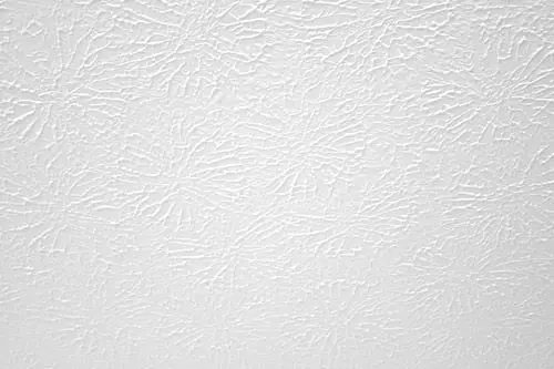 The Top Amazing Wall Texture Types In 2024 25 Spanish lace texture