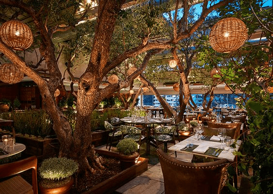 restaurant fit out companies
