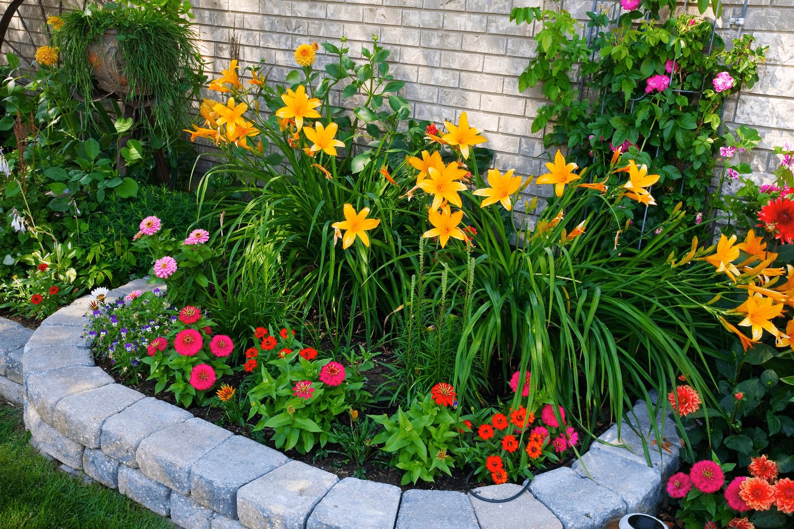flower bed ideas