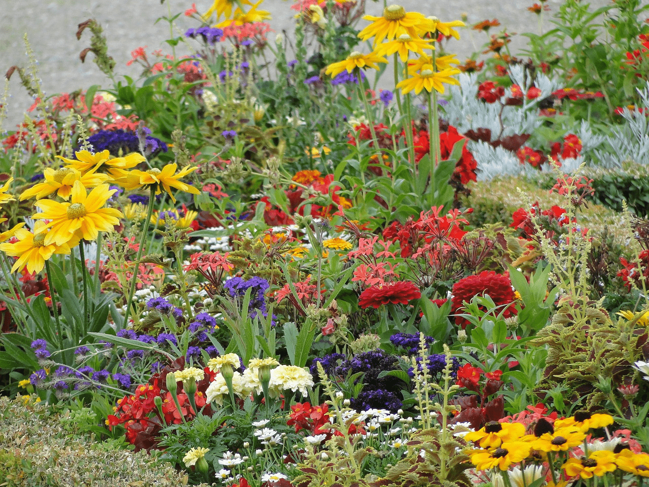 raised garden bed