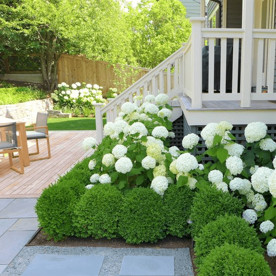 garden fence