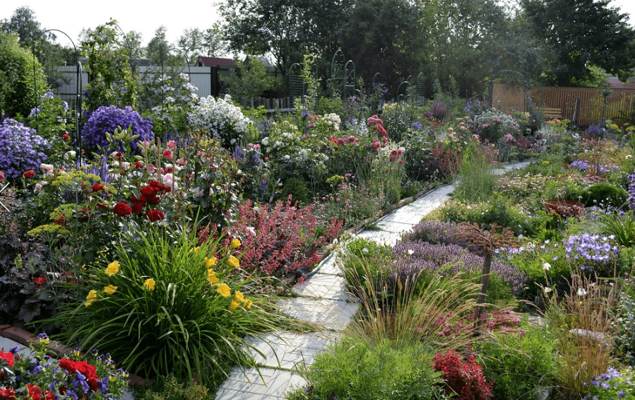 backyard garden boxes designs