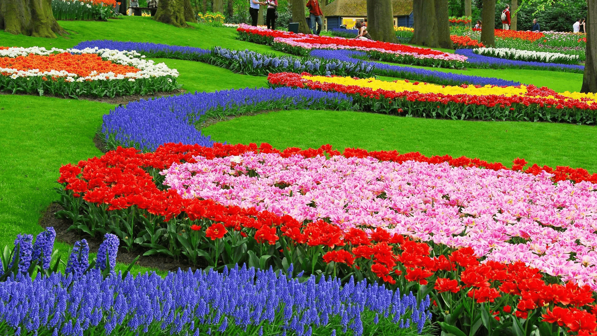 Garden| flower bed ideas with river rock