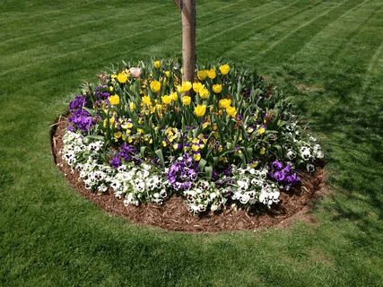 large flower bed ideas