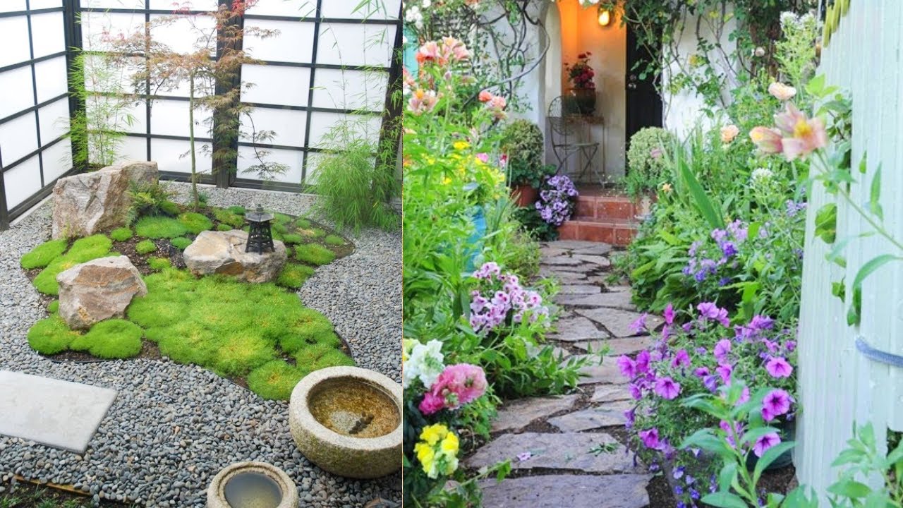 low maintenance shrubs for front of house