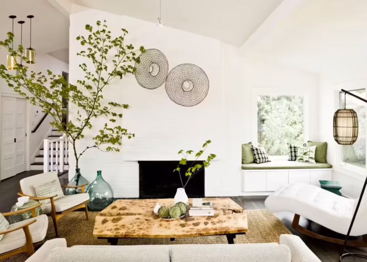 Organic Minimalist Interior Design