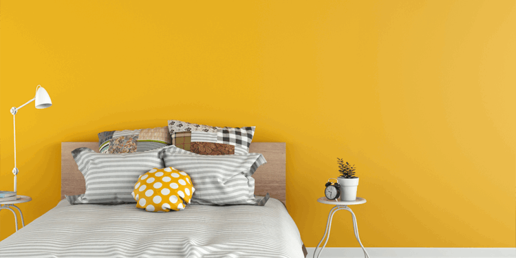 A Room with One Wall Different Color