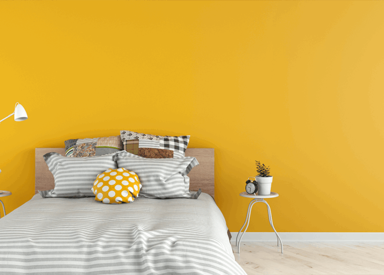 A Room with One Wall Different Color