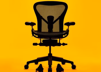 Choosing the Perfect Throne: A Comprehensive Guide to Office Chairs