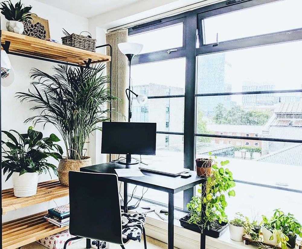 Interior Designer Biophilic