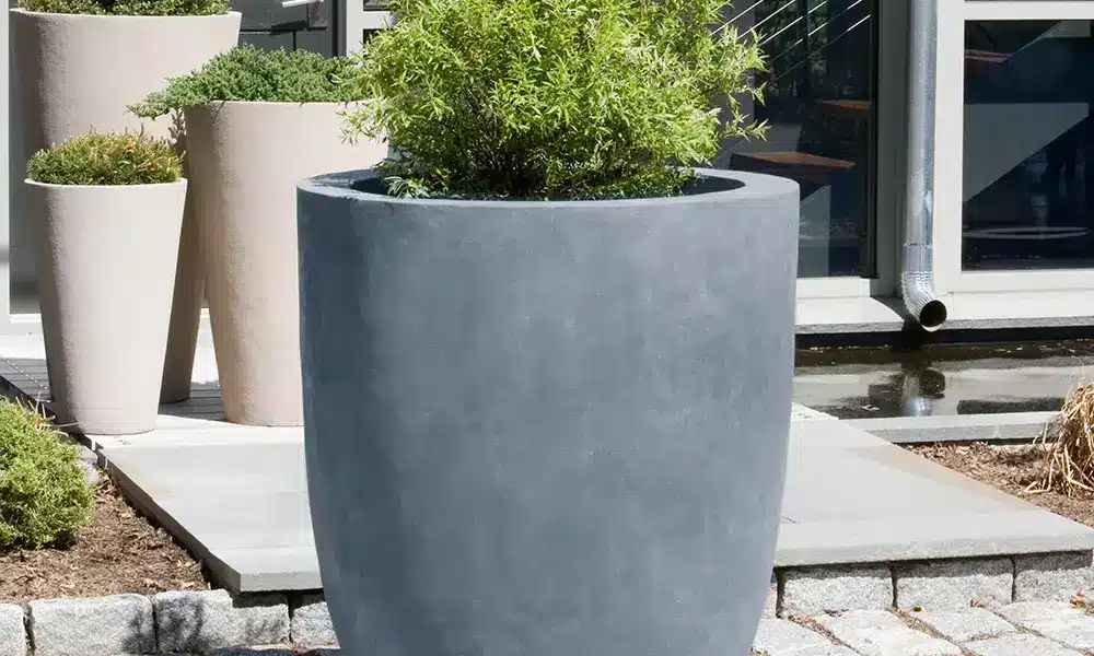 Concrete Planters