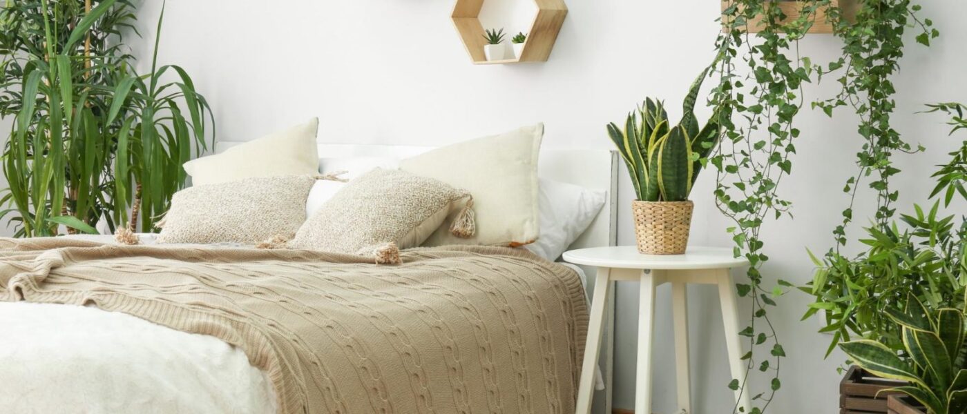 Indoor Plant Room