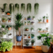 Best Place for Houseplants