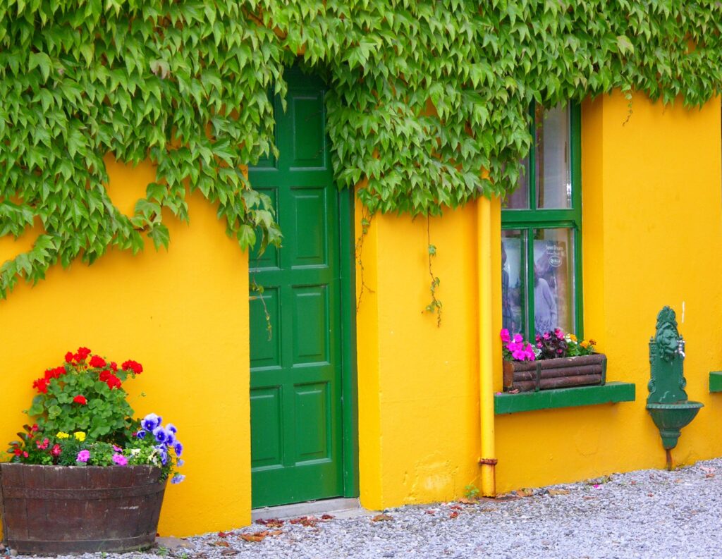 Yellow House|
Yellow Exterior|
Yellow House Exterior