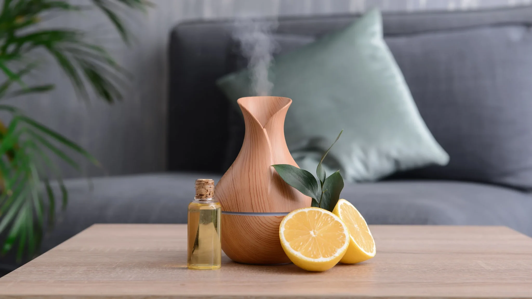 organic modern design style
