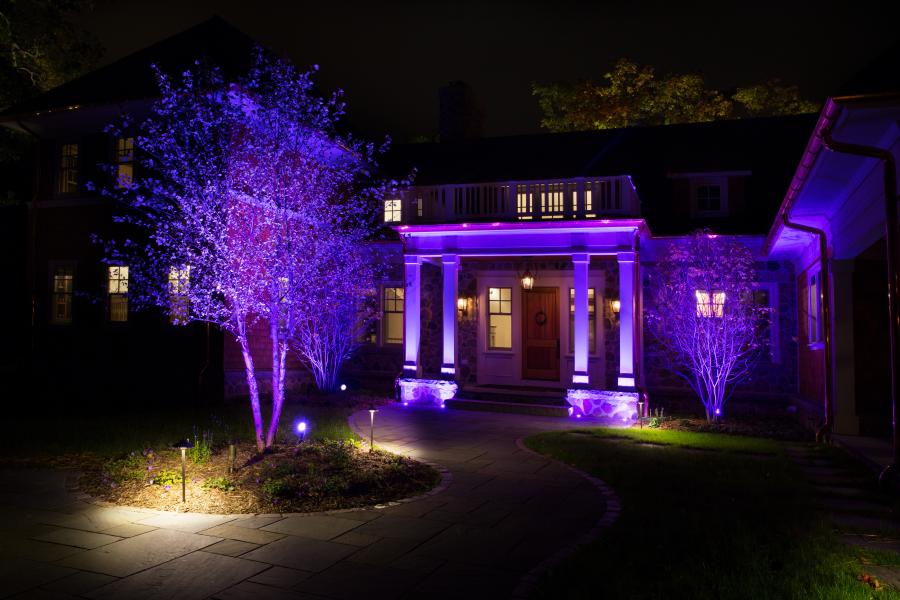 purple porch light meaning
