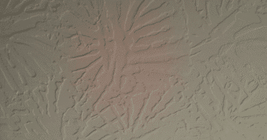 different type of drywall textures
