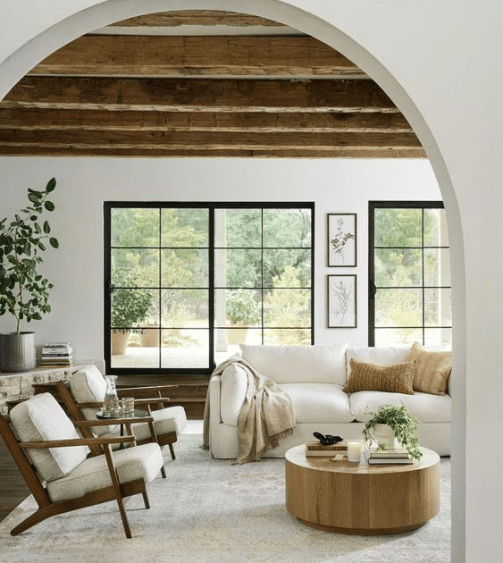 organic modern house design
