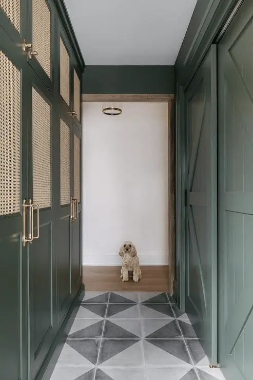 Elevating Interior Design Secrets: The Best Pro Tips 2 Green Mudroom Cabinetry with Cane Panels