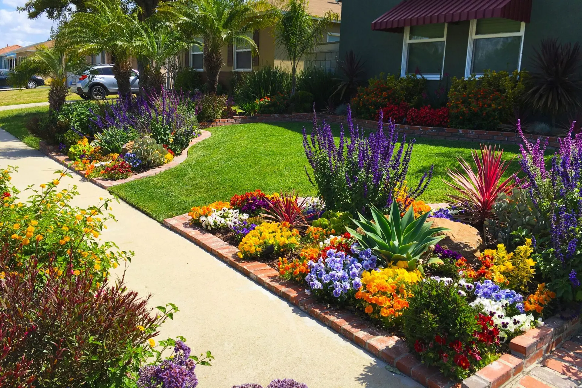 xeriscape front yard
