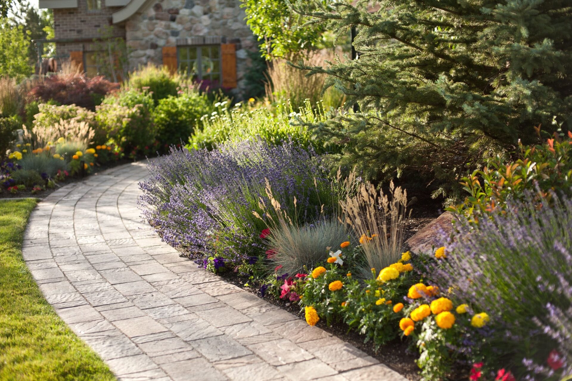 small front yard landscaping ideas low maintenance