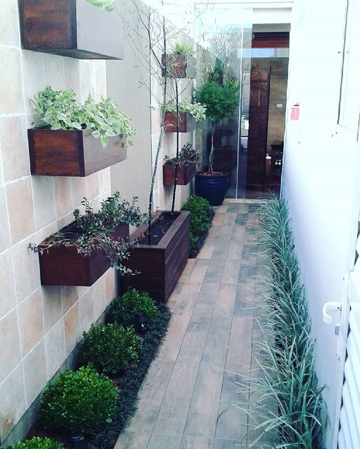 ideas for narrow side yard
