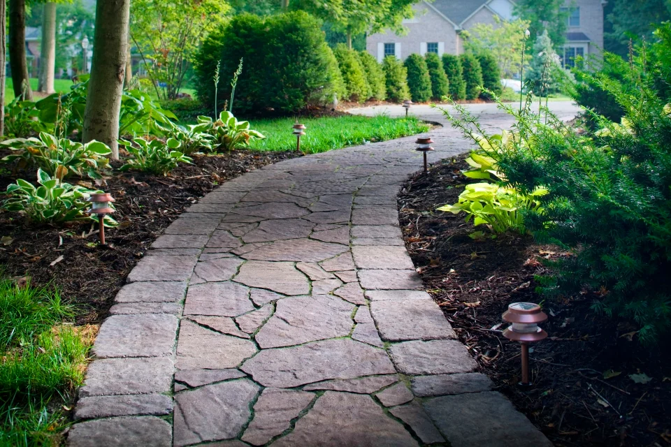 Stone in Garden| sedimentary
