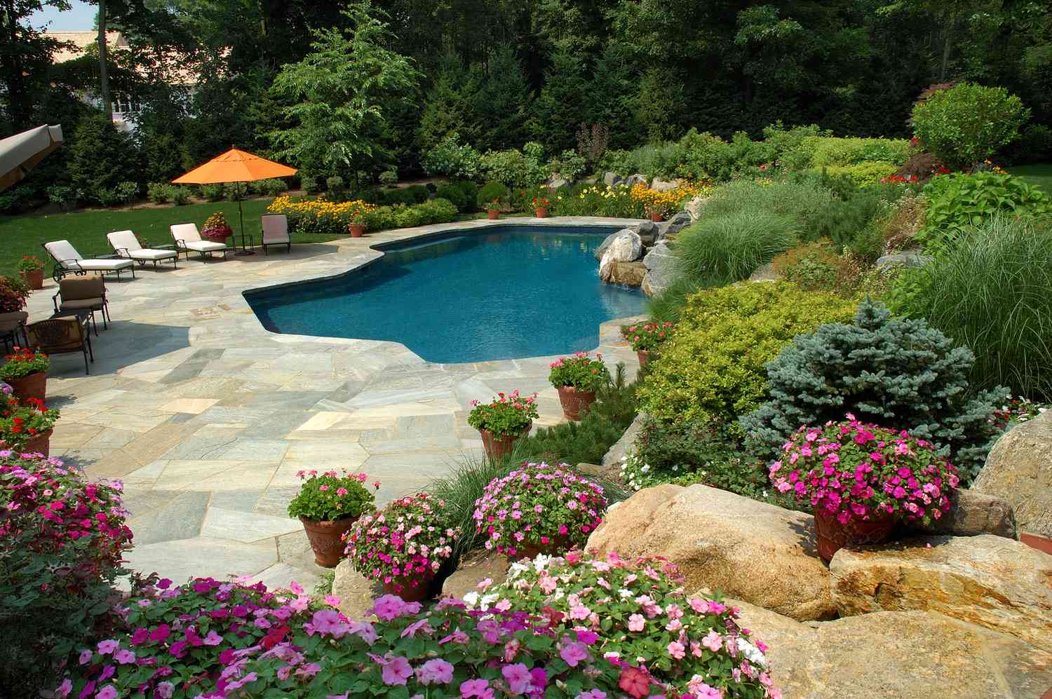 backyard design ideas with pool
