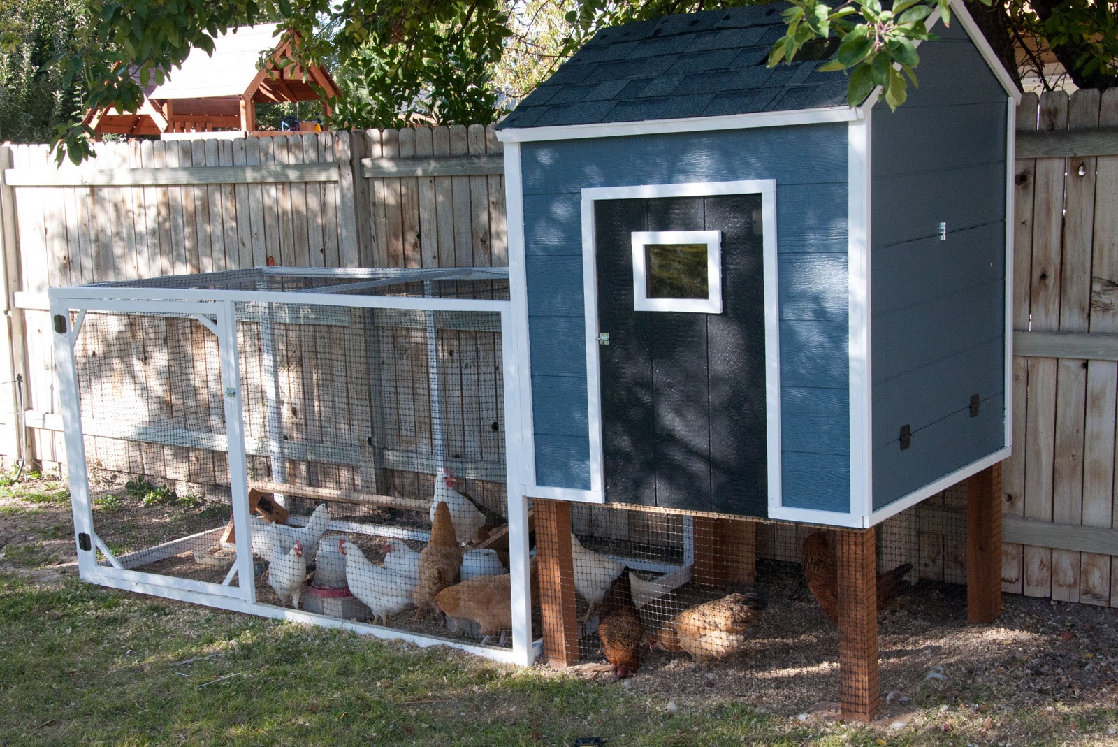  Chicken Coop Corner