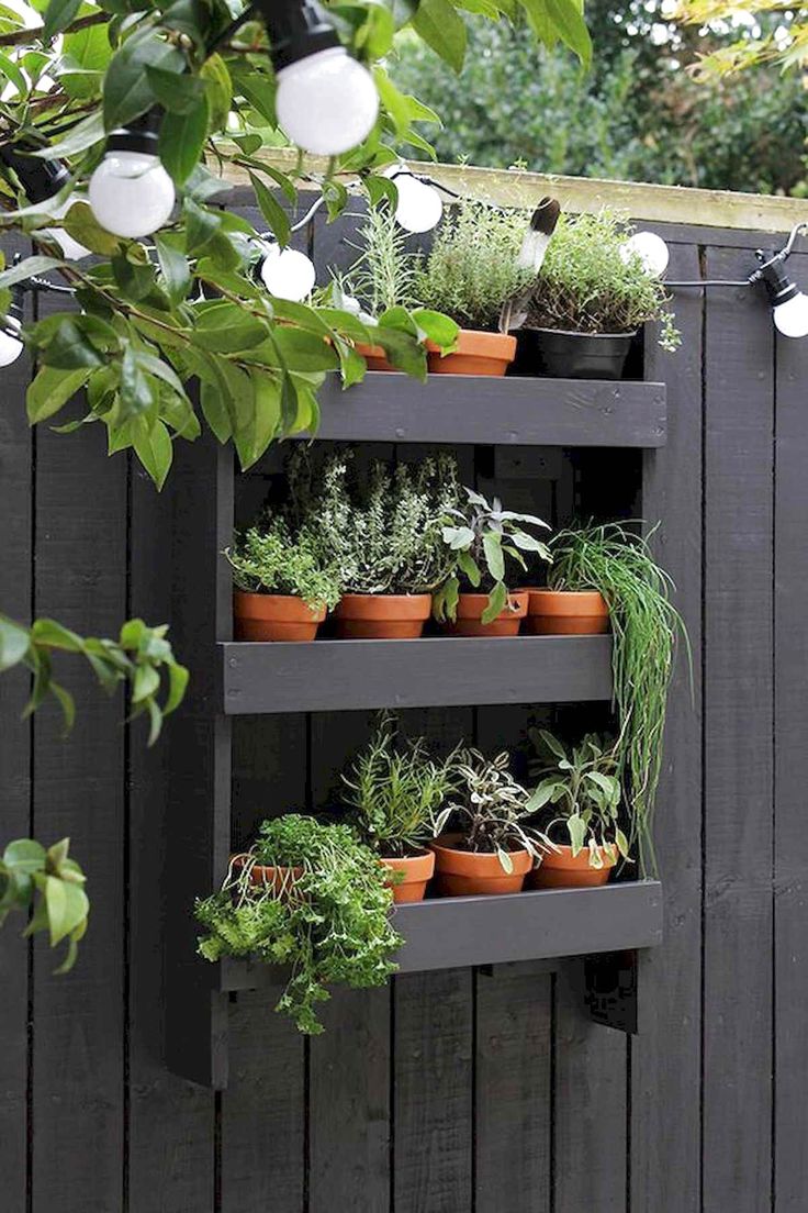 Vertical Garden Planter 
