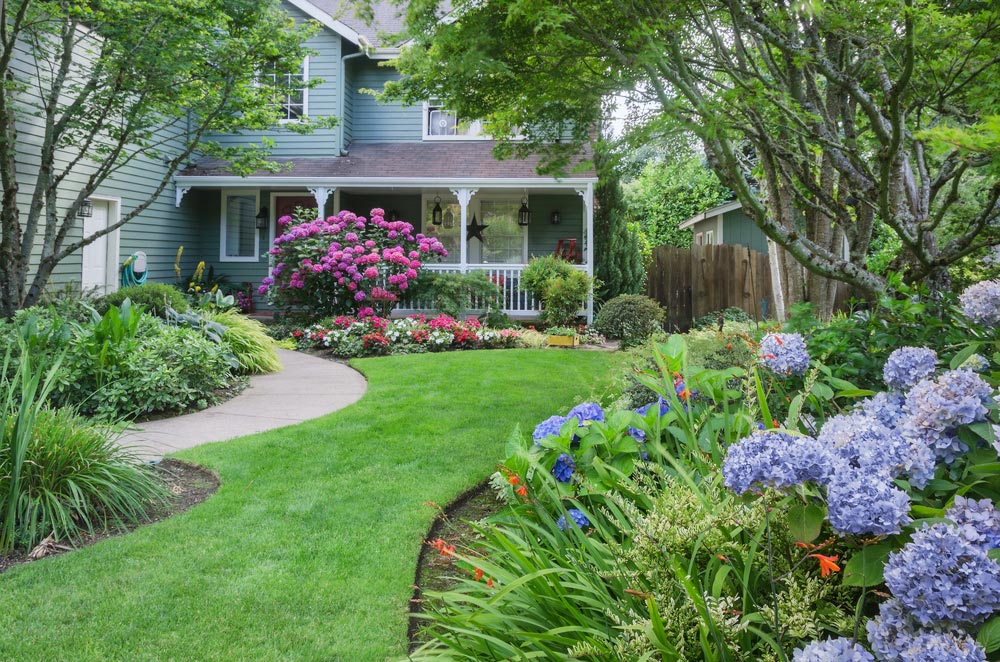 front yard landscape design ideas
