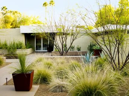desert landscape front yard