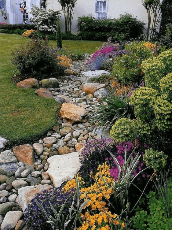 dry creek bed
