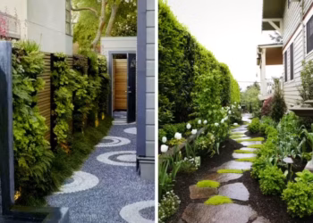 Narrow Side Yard Ideas
