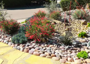 Front Yard Dry Creek Bed Landscaping