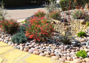 Front Yard Dry Creek Bed Landscaping