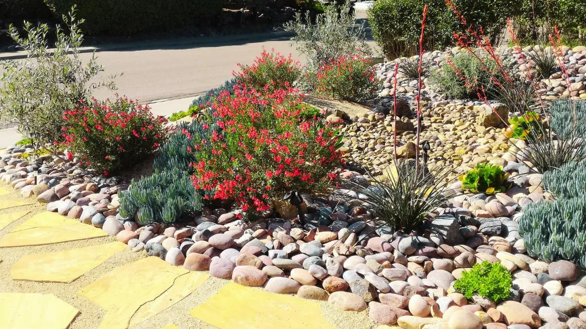 Front Yard Dry Creek Bed Landscaping