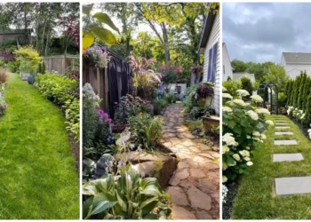 landscaping for the side of a house : 10 Smart and beautiful ideas